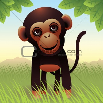 Baby Animal collection: Monkey