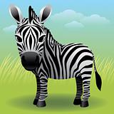 Baby Animal collection: Zebra