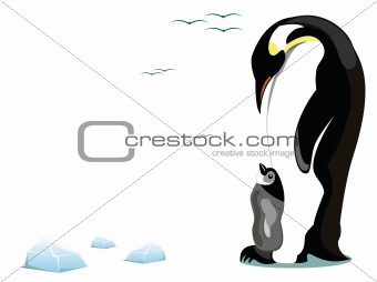 penguin and offspring
