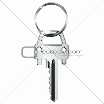 Car key in key ring