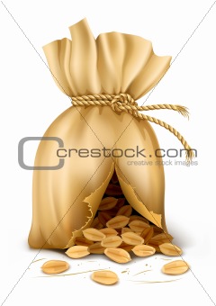 cracked sack wired by rope with wheat corn