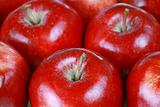 Red gala apples