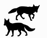 The black silhouettes of two foxes on white