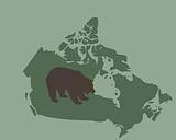 Grizzly bear in Canada