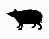 The black silhouette of a hedgehog on white