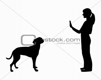 Dog training (obedience): command stop