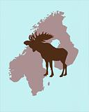 Elk with christmas caps on its antlers in Scandinavia