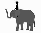 Girl is riding on an elephant