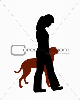 Dog training (obedience): command heel