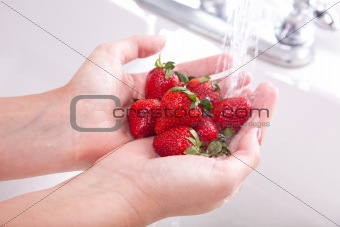Woman Washing Strawberries in the Kitchen Sink.