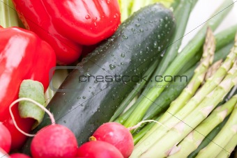 Arragement of Various Vegetables with Water Drops.