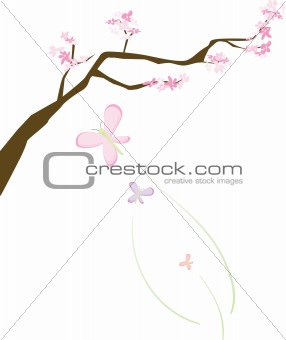 Cherry Blossoms and Butterlfies