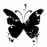 Butterfly silhouette for you design
