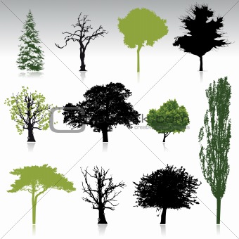 Trees collection for your design