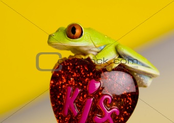 Frog on heart