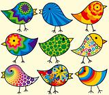 Nine Colorful Birds