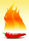 Chili vector illustration Spicy
