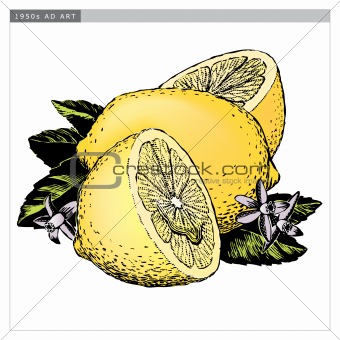 Vintage 1950s Lemons