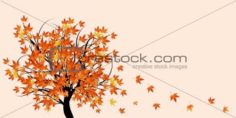Abstract tree with autumn leaves