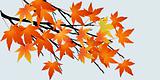 Abstract tree with autumn leaves 