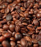 Coffee beans 05
