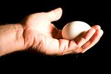 Hand and Egg