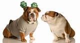 St. Patricks Day dogs