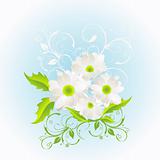 Abstract floral background, element for design, vector