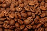Nice light brown coffee beans,  closeup