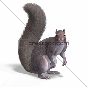 Squirrel 3D Render