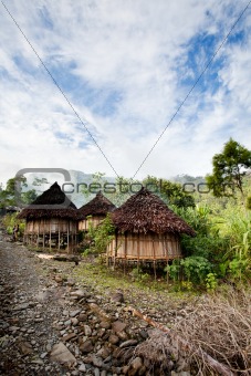 Traditional Village