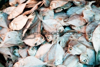Dried Fish Background