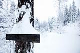 Winter Landscape - Blank Sign