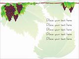 grape cluster vector with sample text