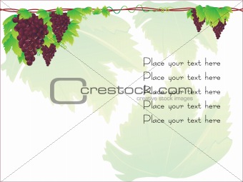 grape cluster vector with sample text
