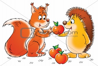 Squirrel and hedgehog