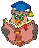Owl teacher reading book