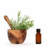 Rosemary Herb Essential Oil