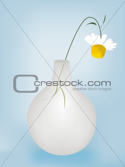 Vector daisy in a vase