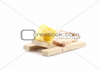 Mouse trap with cheese isolated