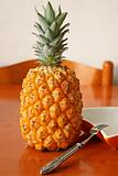 Fresh tropical pineapple