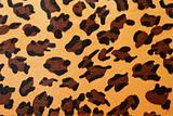 Leopard hide