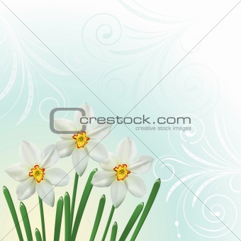 Spring background 