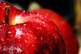 Water drops on a red apple