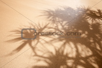 Wet Sand Background
