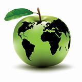 environmental earth concept / apple / globe / vector