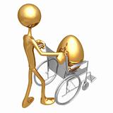Injured Gold Nest Egg In A Wheelchair