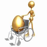 Injured Gold Nest Egg In A Wheelchair