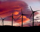 Wind farm with red sunset