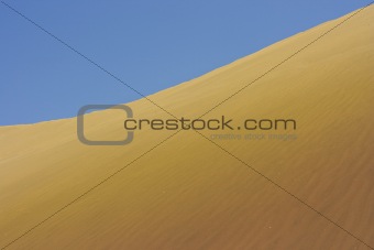 The Desert
